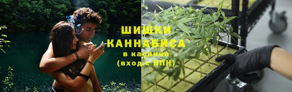 мяу мяу мука Абаза