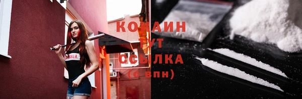 мяу мяу мука Абаза